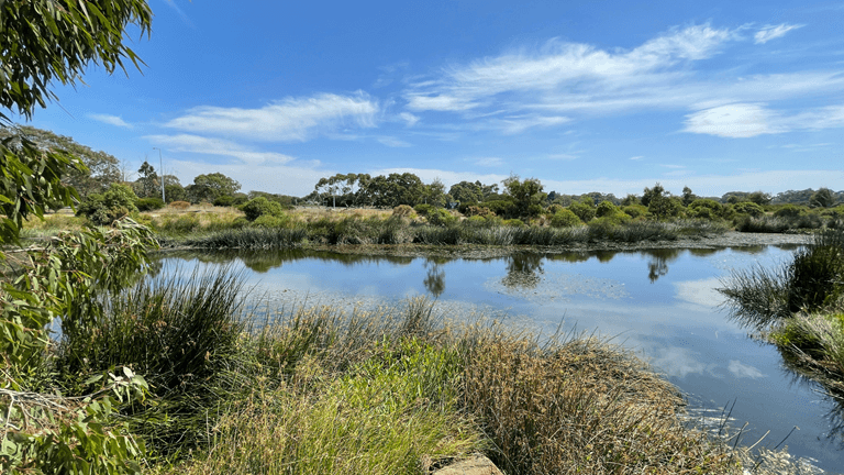 armstrong creek