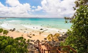 banksia beach
