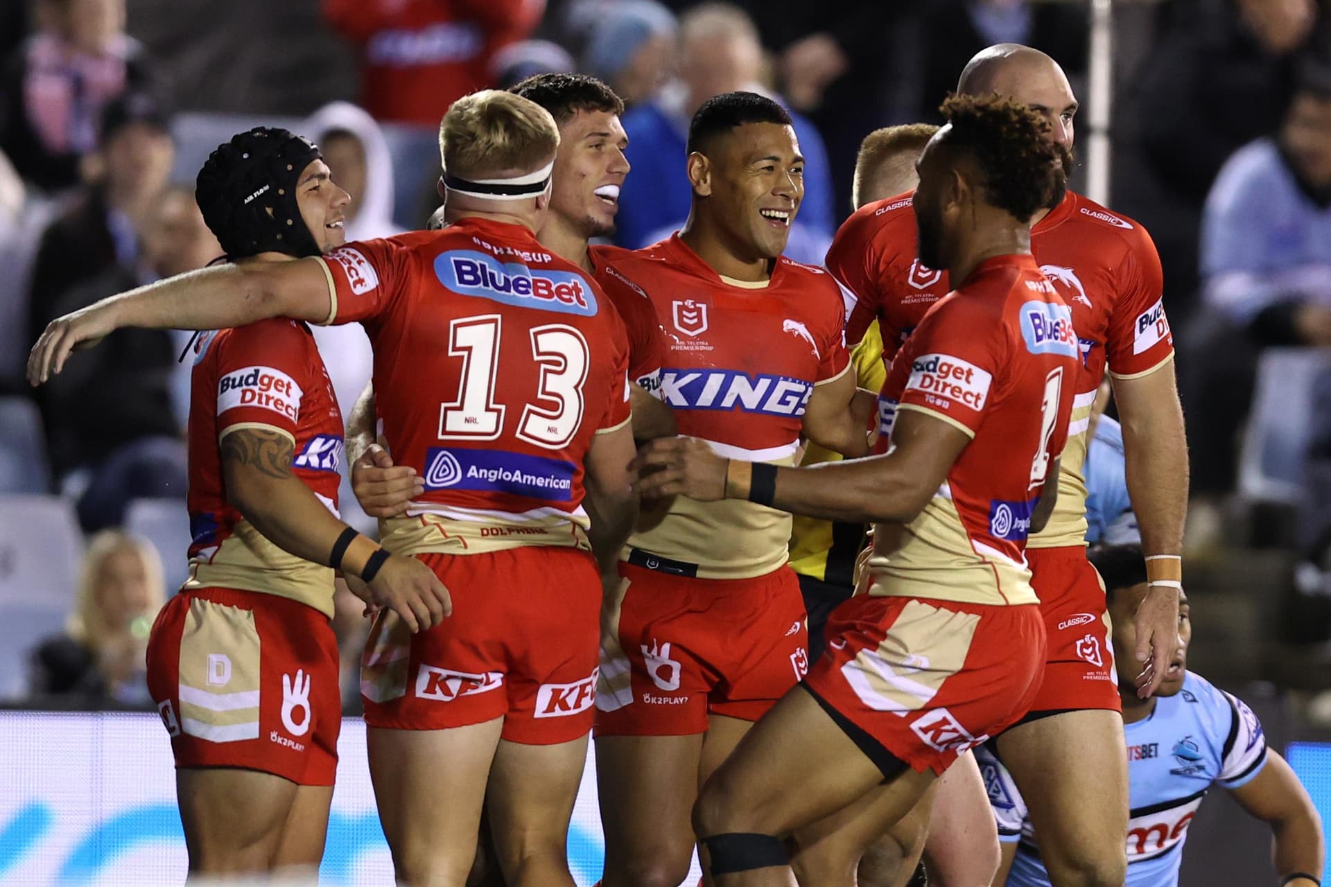nrl dolphins