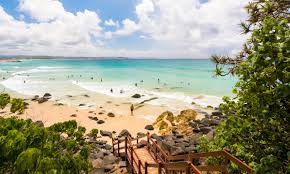 banksia beach