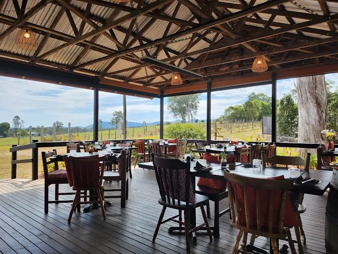 dingo creek vineyard