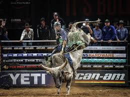 monster energy person riding bull